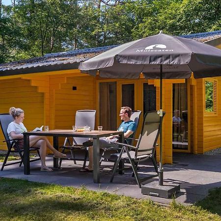 Molecaten Park Landgoed Ginkelduin Leersum Rom bilde